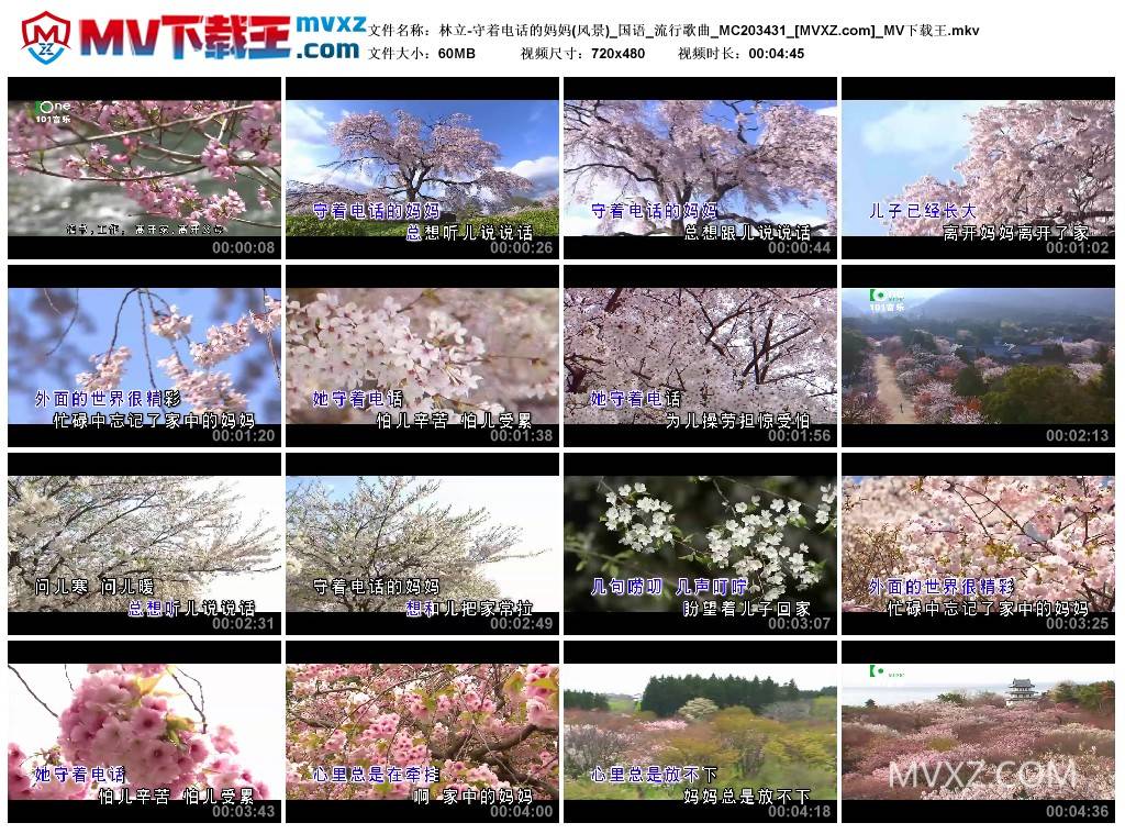 林立-守着电话的妈妈(风景)_国语_流行歌曲_MC203431